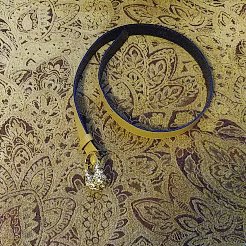 Vintage Gucci Dionysus belt